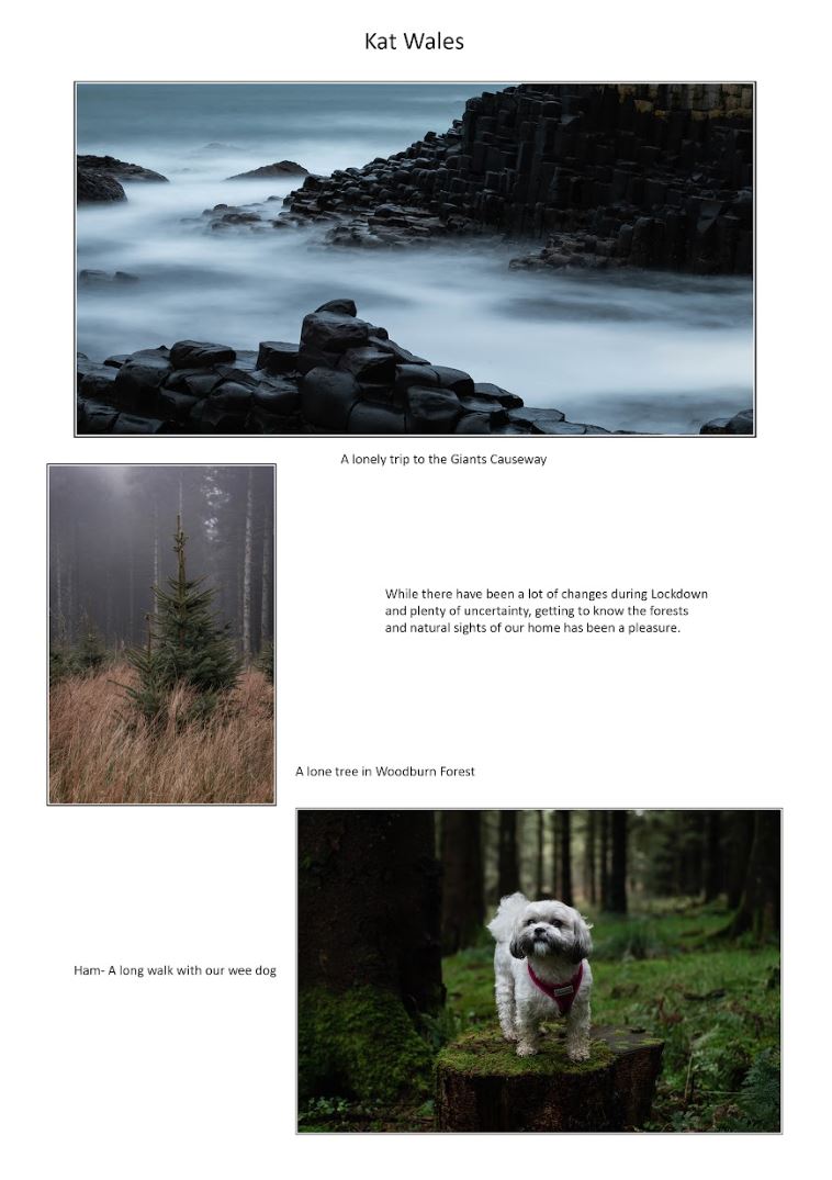 Lockdown 2020 page 19