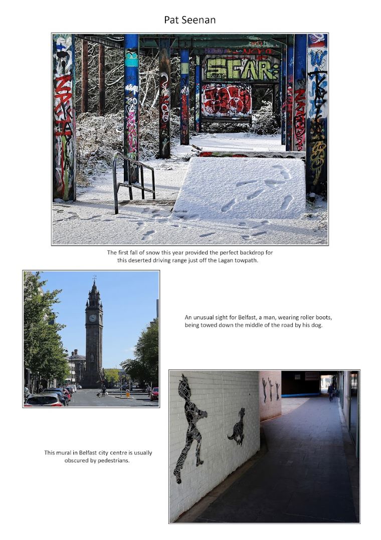 Lockdown 2020 page 29