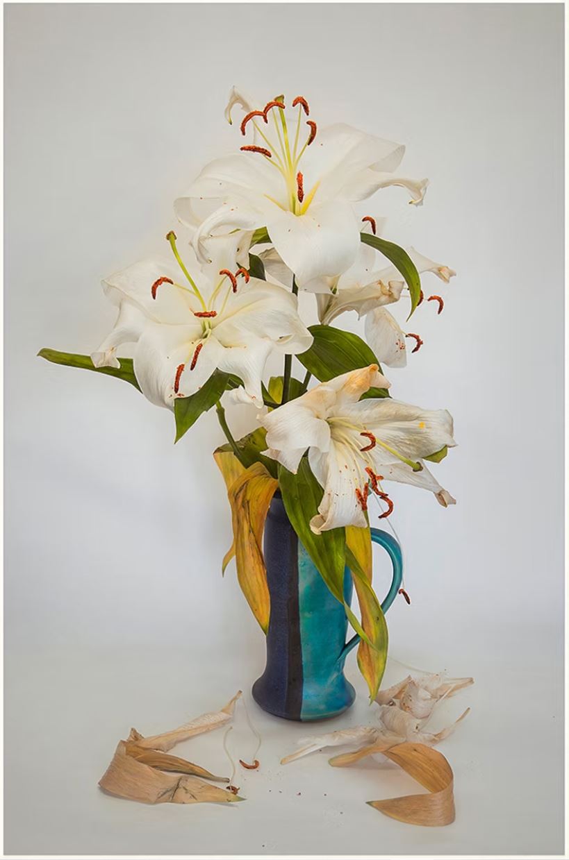 Lillies by Malachy Connolly